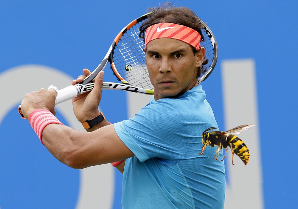 „Teď to schytá sršeň. Nemám rád kočky, ale se sršněmi je to ještě horší. Takže mám u sebe hodně tenisových raket. A čas od času si se sršni zahraju i tenis.“