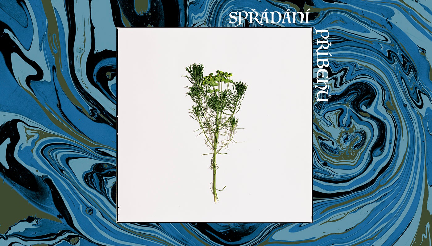 Spřádání příběhů 