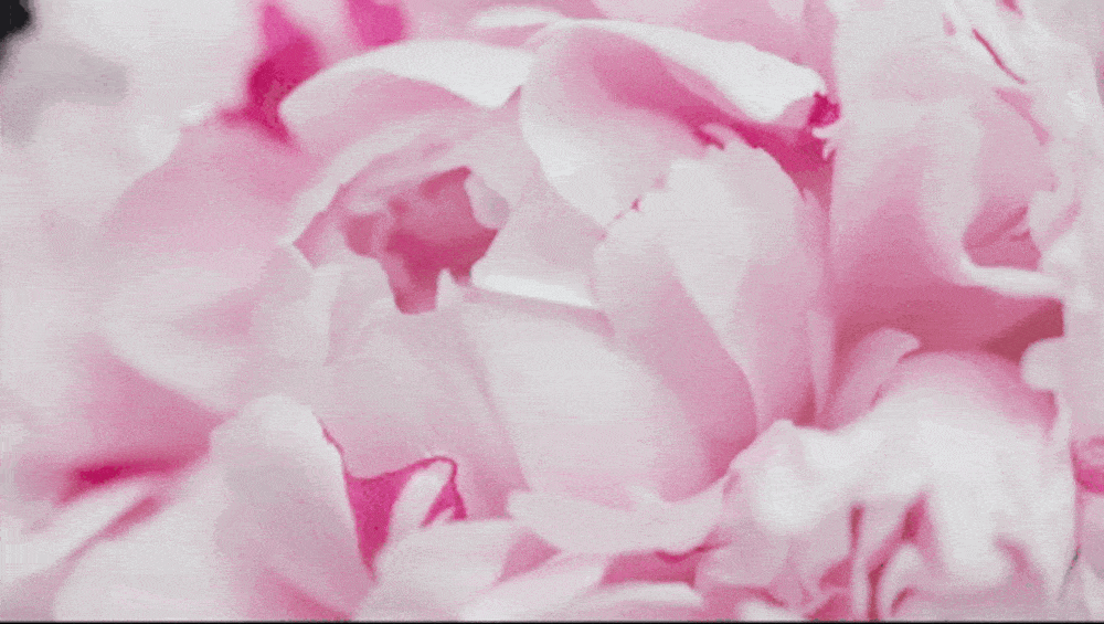 Autor: Getty Images Autor: Getty Images