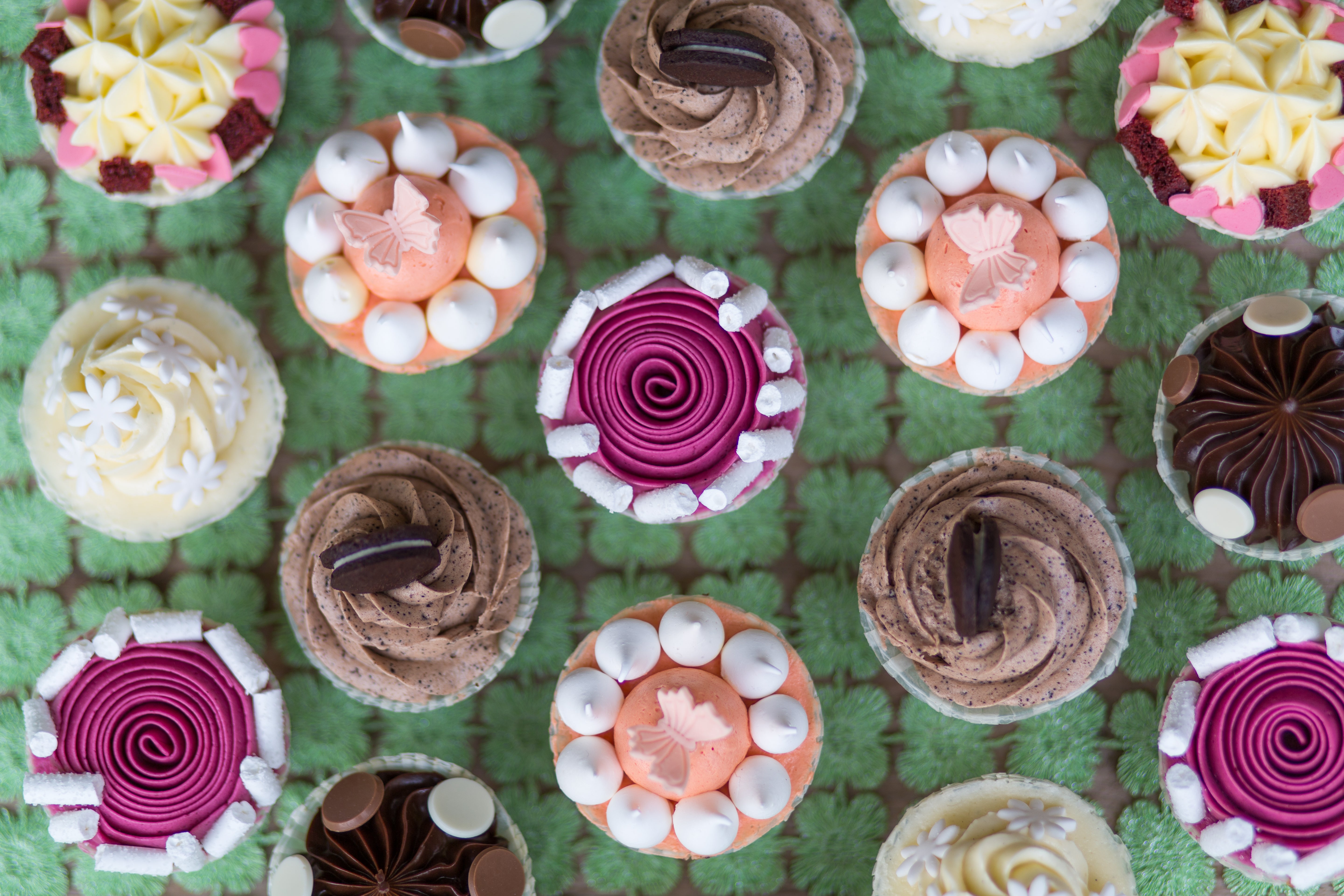 Autor: Shiv Kumar/MarsalekJosef.com Autor: Shiv Kumar/MarsalekJosef.com