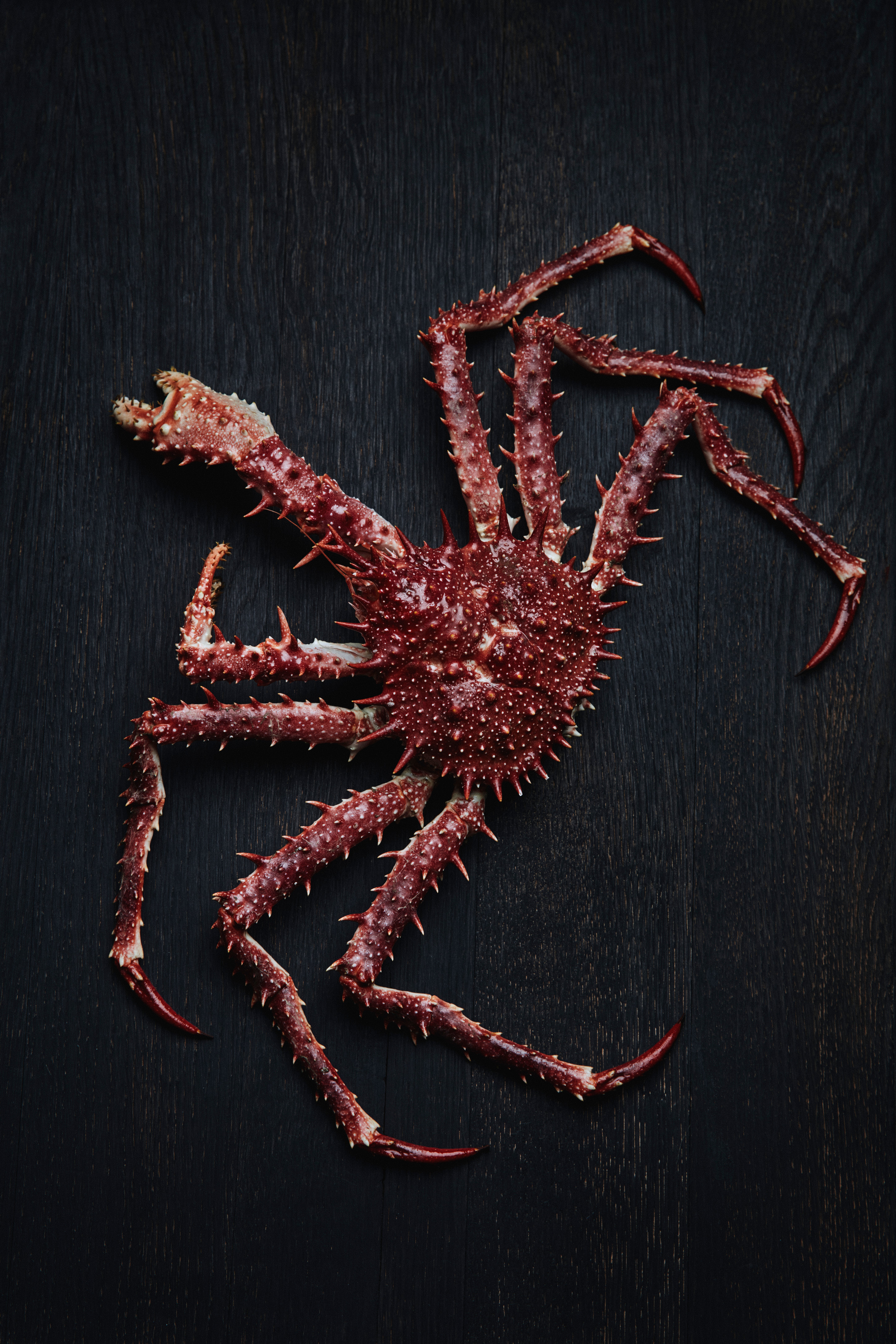 Autor: Stian Broch Autor: Stian Broch