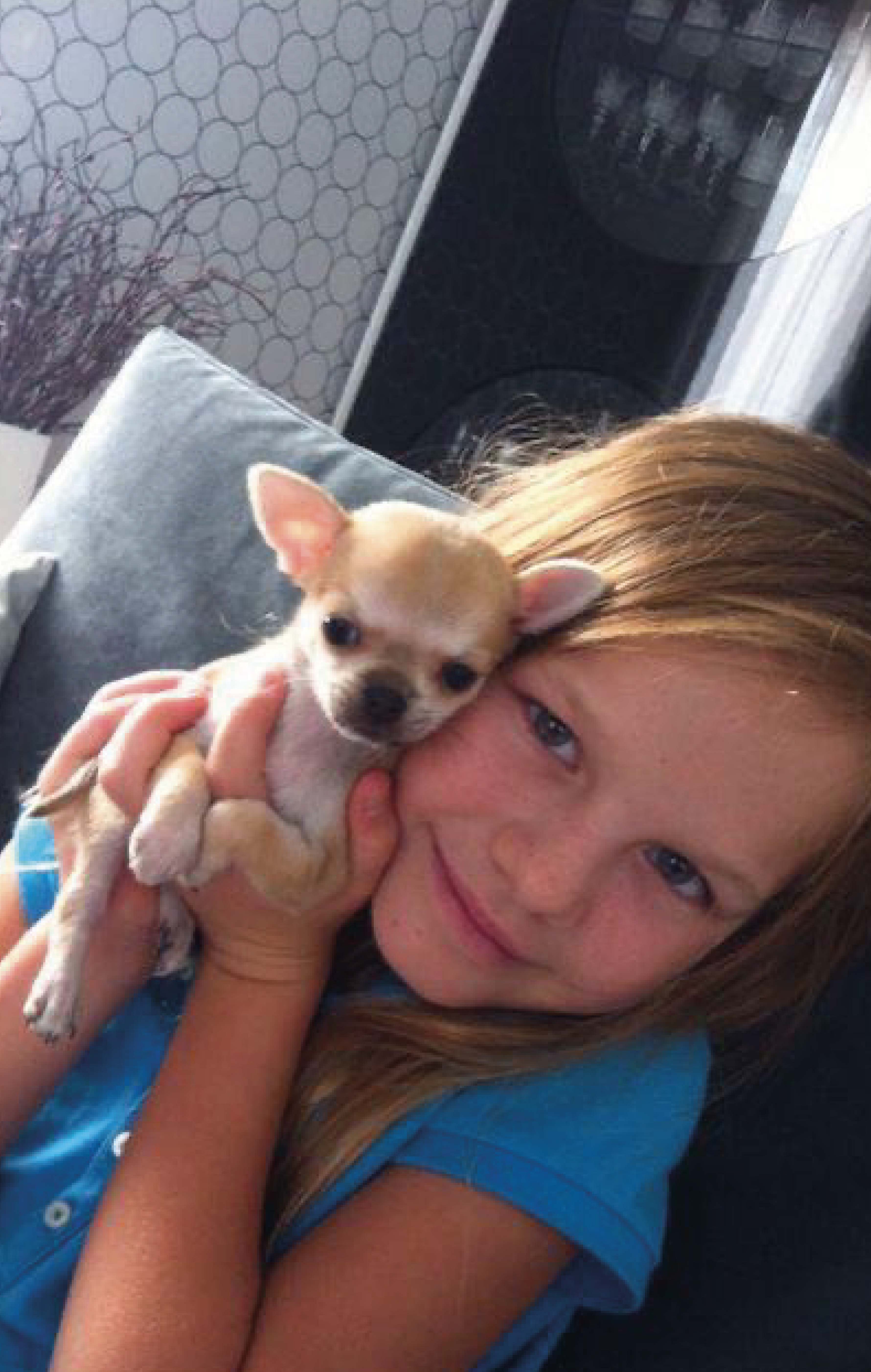 Autor: Anežka Lišková Autor: Anežka Lišková