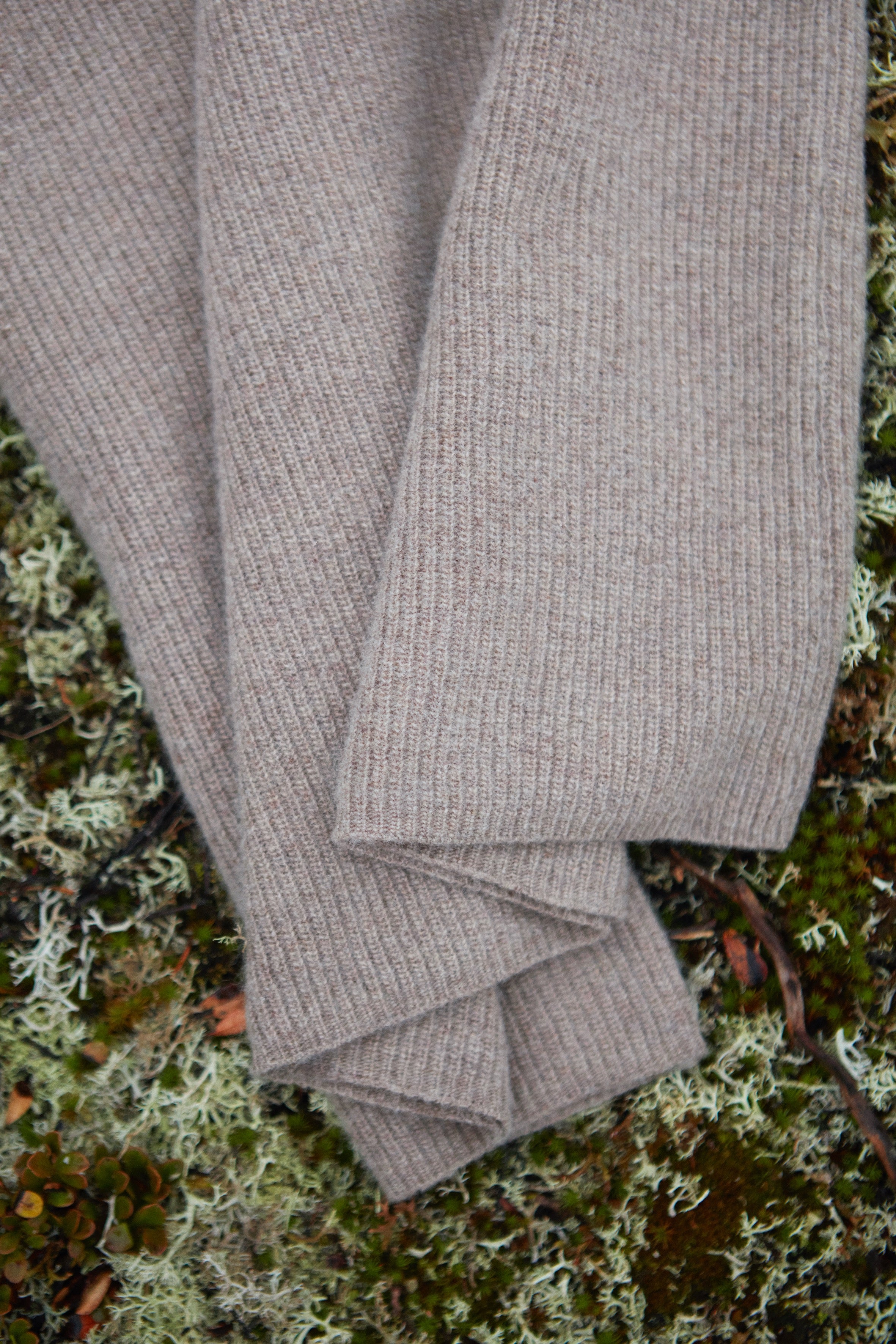 Obrázek 14 z galerie