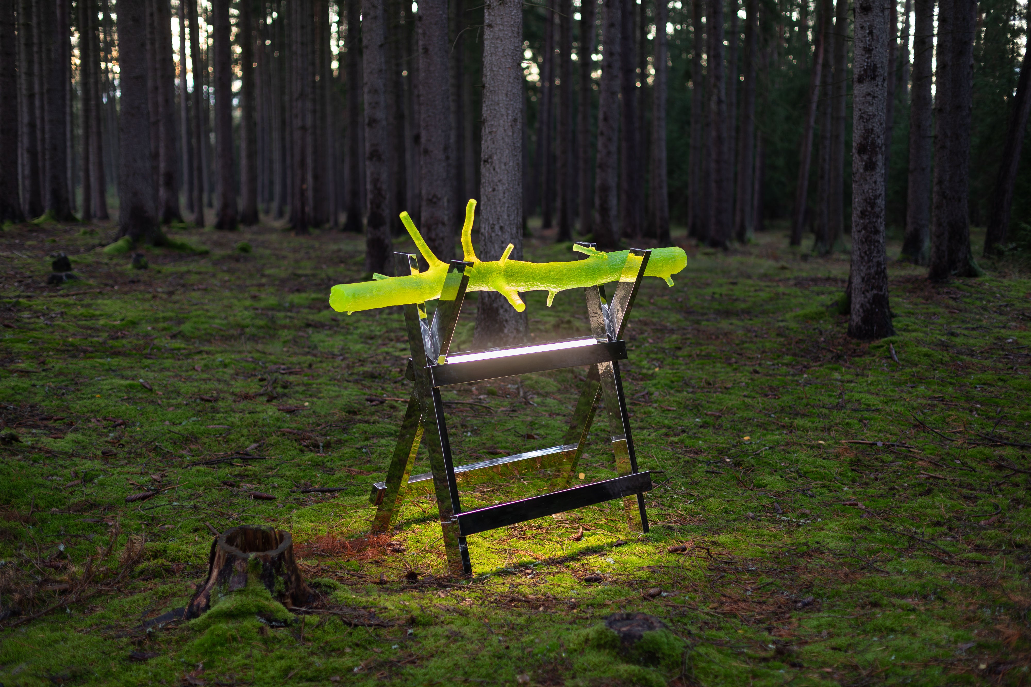 Rony Plesl, Translucent