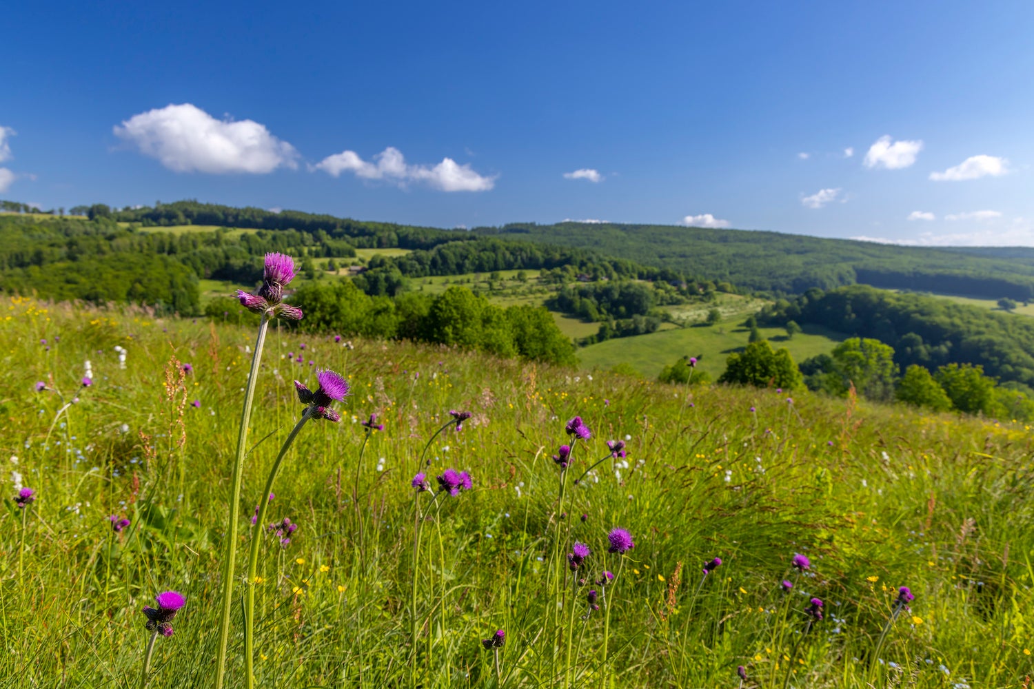 Bílé Karpaty kousek od Starého Hrozenkova